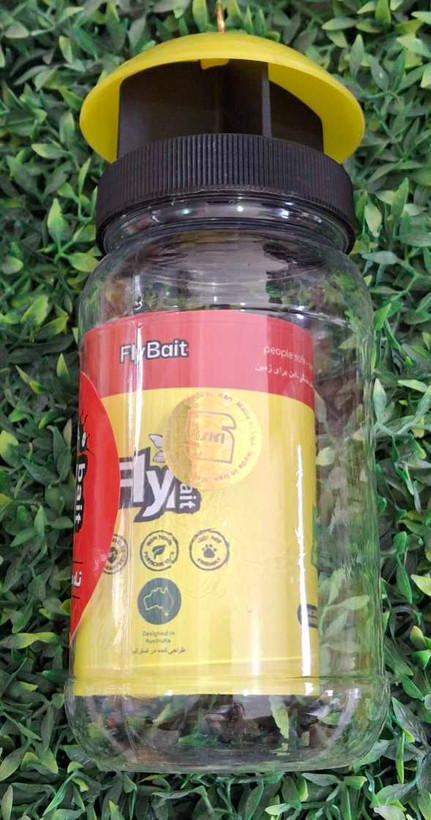 تله مگس خانگی ارگانیک