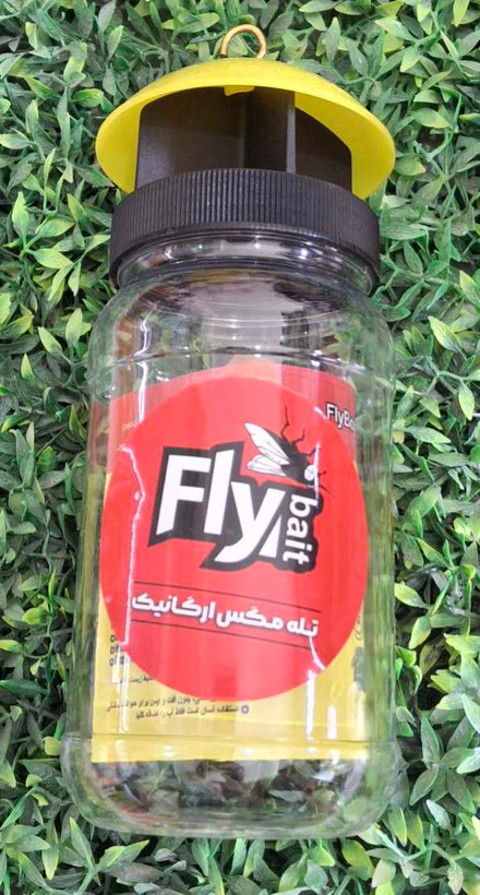 تله مگس خانگی ارگانیک