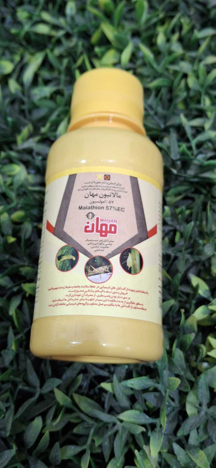 سم مالاتیون 100 سی سی مهان 2025 تولید